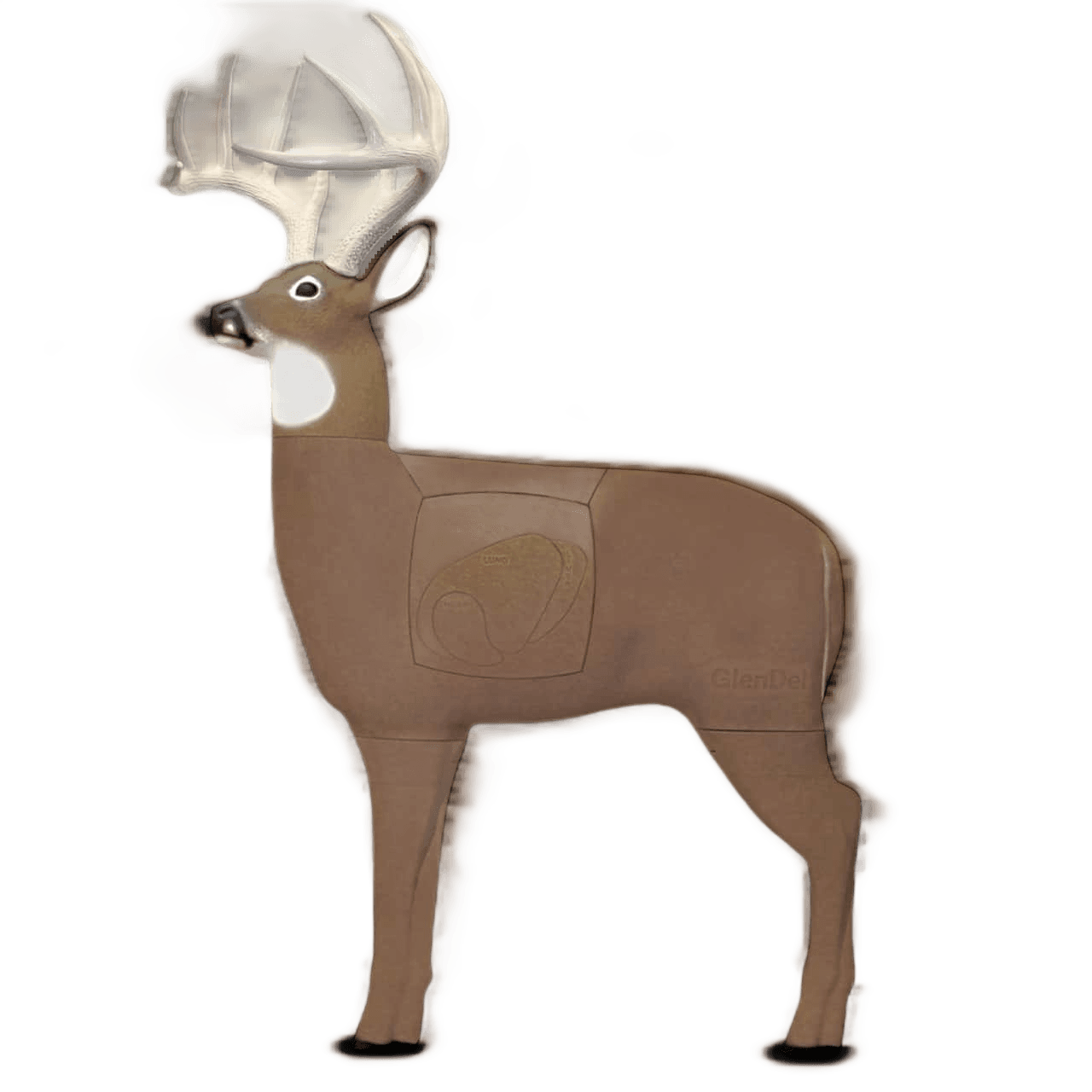 GlenDel Pre-Rut