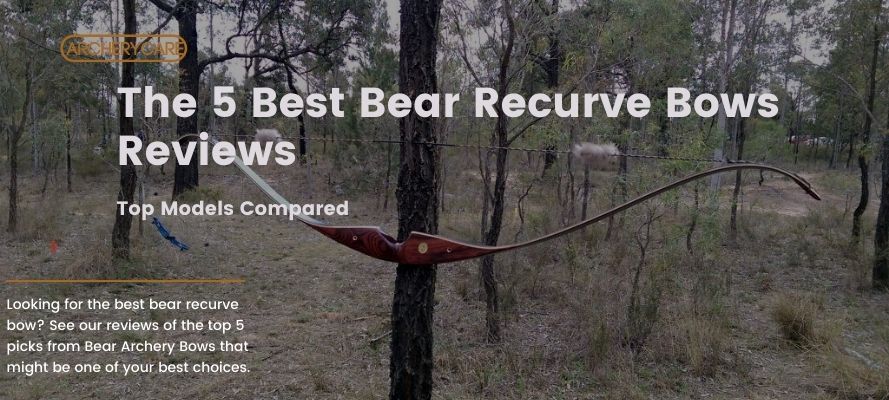 Best Bear Recurve Bow