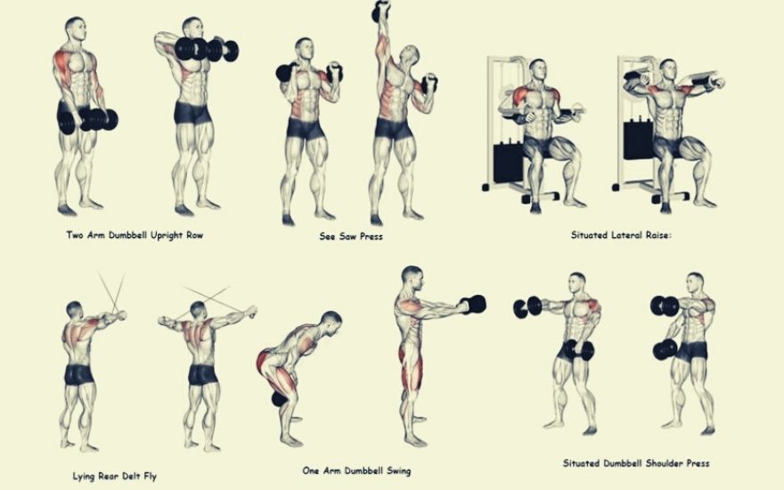 Arm and Shoulder workout