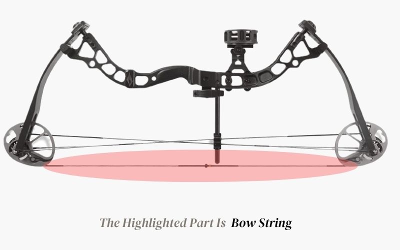 Bow String of Compound Bow