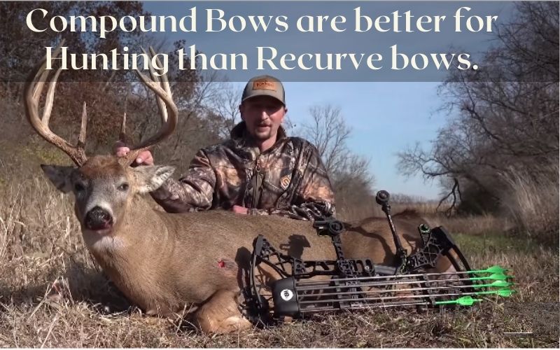Compound Bows are better for Hunting than Recurve bows