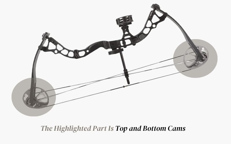 Top and Bottom Cams of Compound Bow