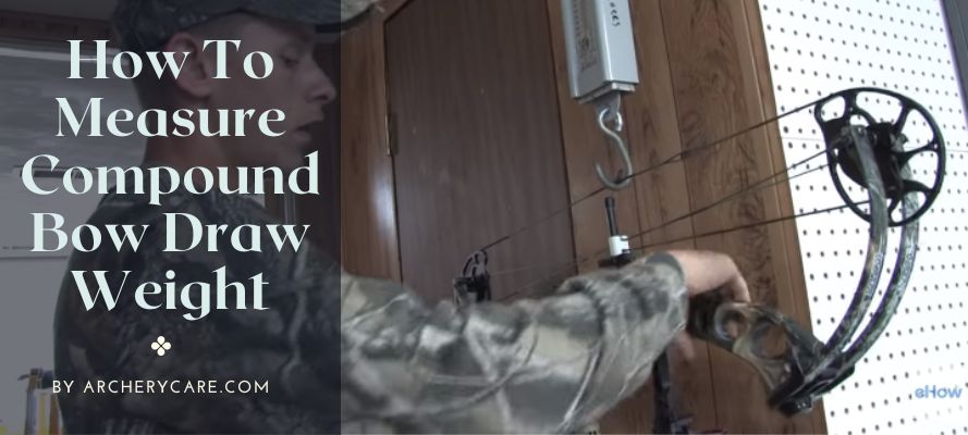 How To Measure Compound Bow Draw Weight