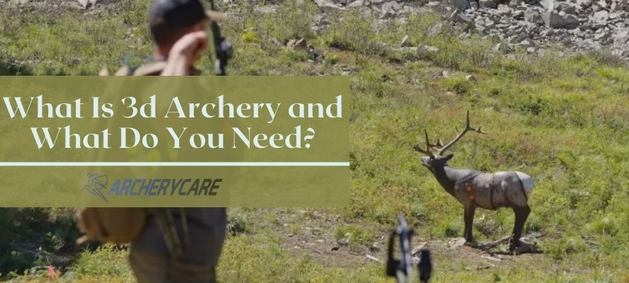 What Is 3d Archery