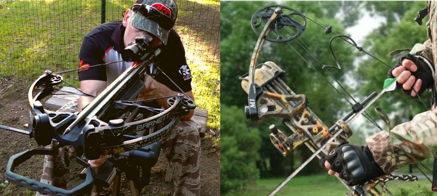 Compound Bow Vs Crossbow