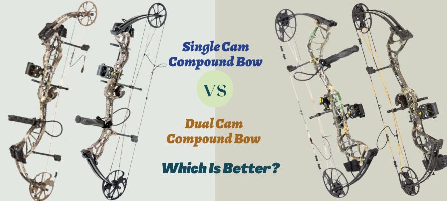 Single vs Dual Cam Compound Bow